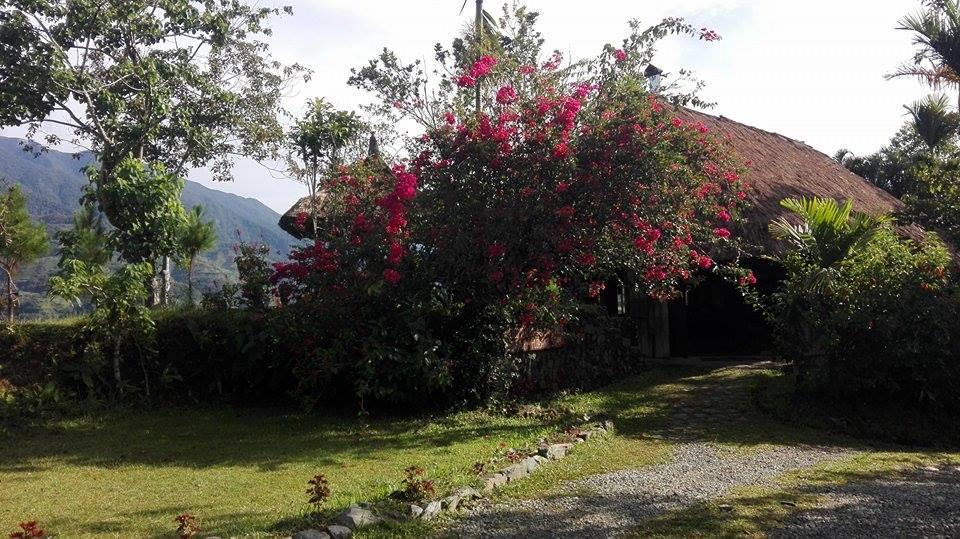 Native Village Inn Banaue Exterior photo