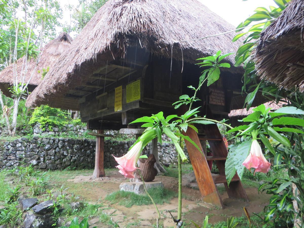 Native Village Inn Banaue Exterior photo