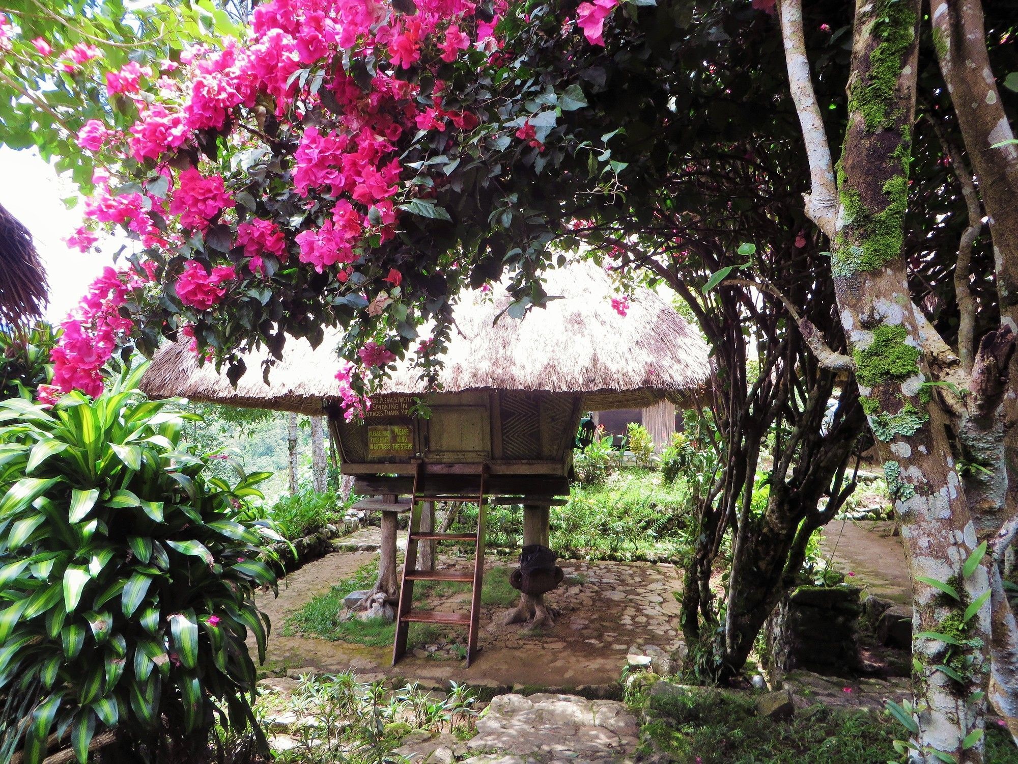 Native Village Inn Banaue Exterior photo